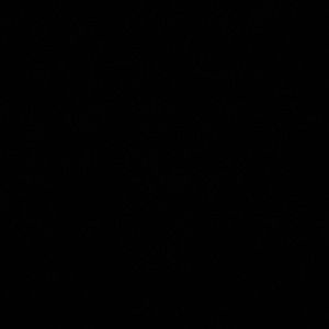 Meet your Posher, Anzel